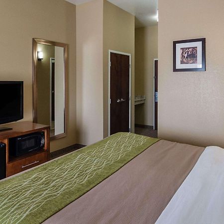 Comfort Inn Midland South I-20 Exterior foto